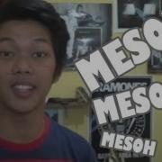 Mesoh