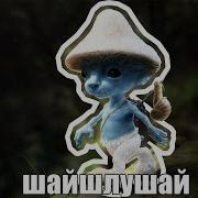 Мем Шайлушай