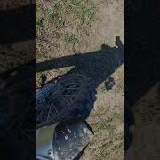 Звук Выхлопа Мотоцикла Bse Z3