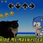 Swap Fnf Can Can But Maxwell Cat