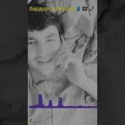 Абача Телефонта Бардор