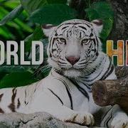 The World In Hdr In 4K Ultra Hd