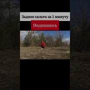 Задне Сальто Прикол