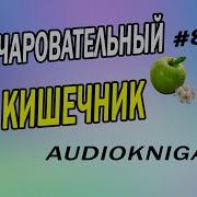 Аудиокниги Чистка Кишечника