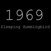 1969 Sleeping Hummingbird