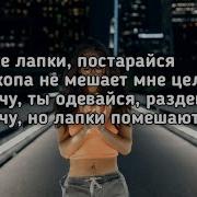 Твоя Жопа Не Мешает Нам Целаваться