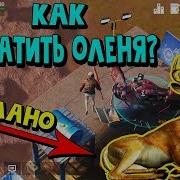 Wasteland Survival Zombie Прохождение Задание Как Захватить Оленя Steam