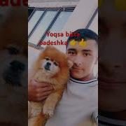 Бита Кучик Сотиб Оламан