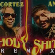 Holy Shit Remix