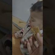 Кизим Тугулган Кунинг Билан
