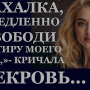 Истории Из Жизни Аудиорассказы