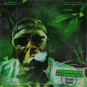 Purp Dogg Garage 2025