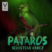 Sebastian Darez Pajaros Original Mix