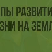 Этап Развития Жизни На Земле