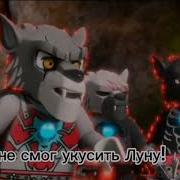 Жаль Что Ты Не Поспел За Нами Зайчик