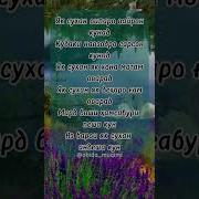 Эссе Оламро Як Сухан Вайрон Кунад