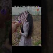 Ба Кала Бги Дустдорита