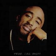 2Pac Type Beat Wayz