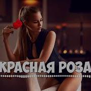 Leenad Красная Роза 2019