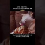 Только Встала Уже Устала