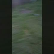 Моя Сестра Смешно