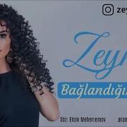 Zeyneb Heseni Baglandigim Insan Deniz Bolat Remix