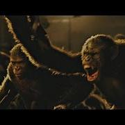 Dawn Of The Apes Fight