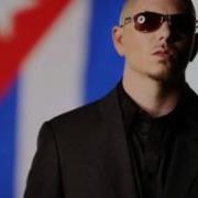 Pitbull Vida 23