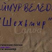 Сеймур Веледов Шехьмир 2021