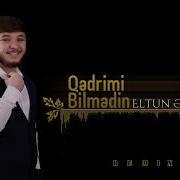 Yuregimi Berdim Qedrimi Bilmedi