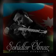 Shahidlar Olmaz