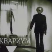 У Императора Нерона