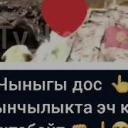 Чыныгы Дос Кыйынчылыкта Билинет