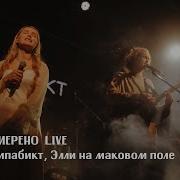 Лампабикт Элли На Маковом Поле