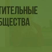 Растительные Сообщества 6 Класс