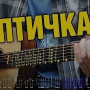 Птичка Кавер На Гитаре