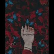 Новая Цыганская Песня Tequila От Nótár Mary Feat Kis Grófo Эту Песню Ищут Все