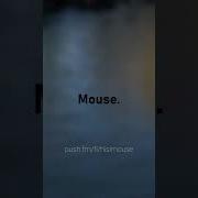 Connectivity Mouse S Mistake