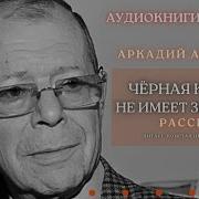 Аудиокнига Черная Кошка