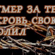 Я Умер За Тебя И Кровь Свою Пролил
