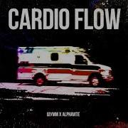 Alphavite Cardio Flow