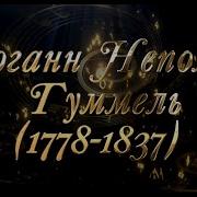 Иоганн Гуммель
