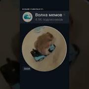 Не Гоняйте Пацаны Мем