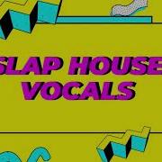 Acapella Slap House