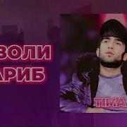 Тима Ахволи Гариб 2024