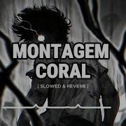 Montagem Coral X See On Your Way Slowed