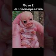 Эти Фотографии Не Фотошоп Рикардо