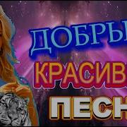 Песни Добрые Дворовые Слушай Хит Лучшая Музыка 2025 Музыка