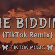 The Bidding Tally Hall Tiktok Remix