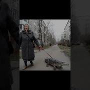 Бомбардира Крокодила Фонк